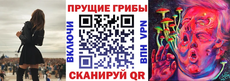 Псилоцибиновые грибы GOLDEN TEACHER  Архангельск 